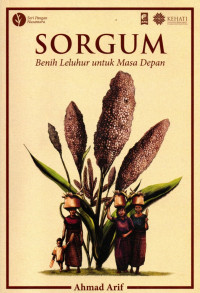 Image of Sorgum